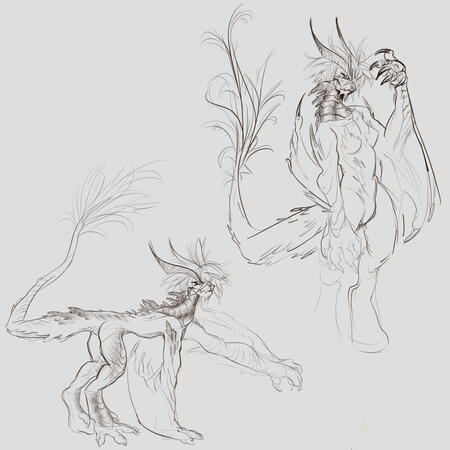 dragon lady